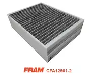Фильтр FRAM  CFA12501-2