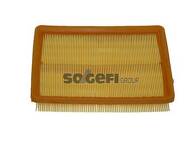 Воздушный фильтр FRAM  CA8766