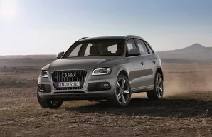 Лампы Audi Q5 Q5 / 8R / рестайлинг