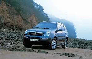 Лампы SsangYong Rexton Rexton / 1, 2 пок. (Y200, Y250)