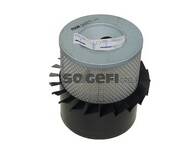 Воздушный фильтр FRAM CA10273 CA10273