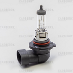 Carberry H10  31CA4