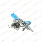 Korwin Super White H1  KWYN0052