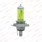 Korwin H4  KWYN0015