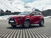 Lexus NX 1 пок. / рестайлинг