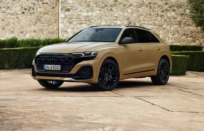 Свечи зажигания Audi Q8 Q8 / 4M / рестайлинг