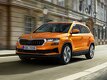 Skoda Karoq 1 пок. / рестайлинг